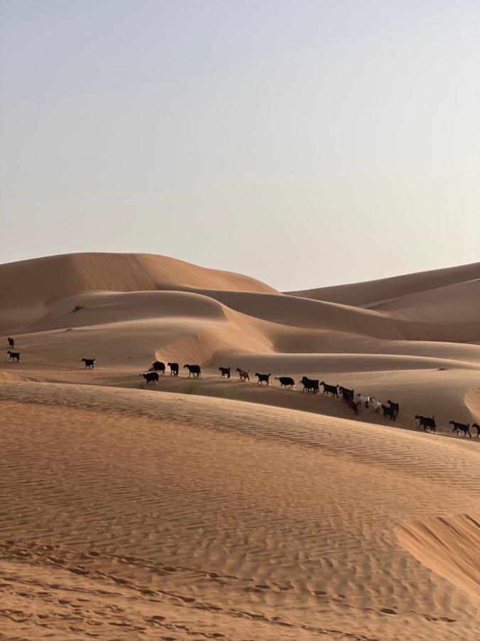 Thousand Stars Desert Camp Badīyah Extérieur photo